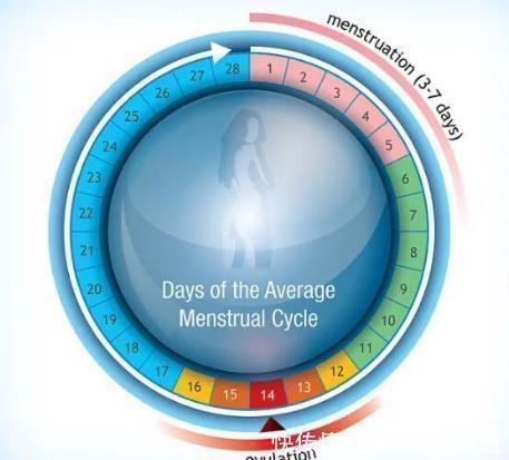 月经|“大姨妈”总迟到可不行，教你几招小妙招，助你“月经”按时报到