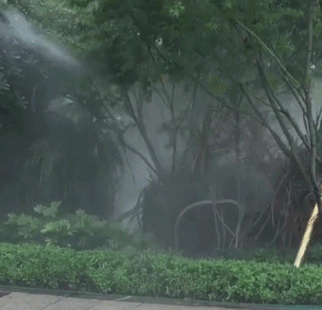 |搞笑GIF:这是谁家的闺女