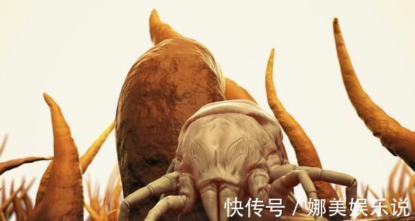 睡衣|睡衣和床单应该多久洗一次？超过此时间，就是螨虫和你一起睡了！