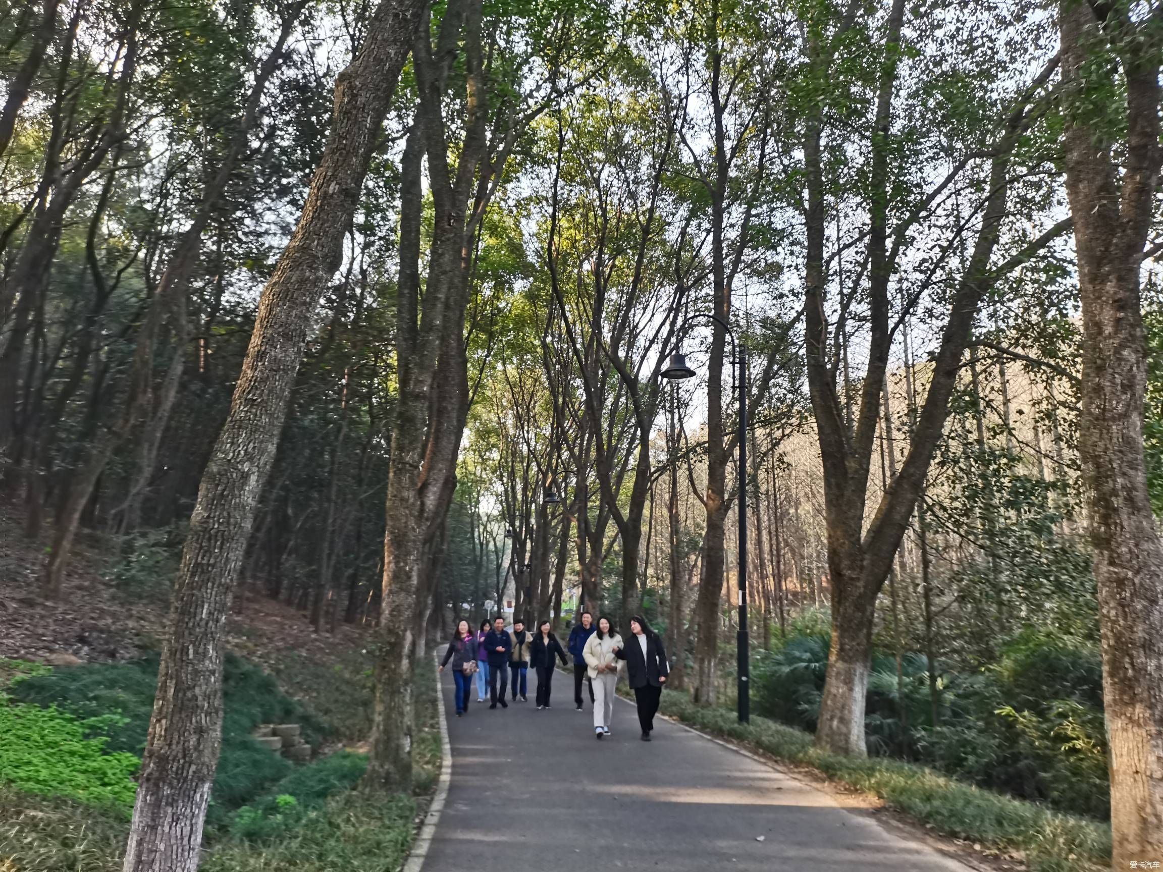 情人节逛森林公园