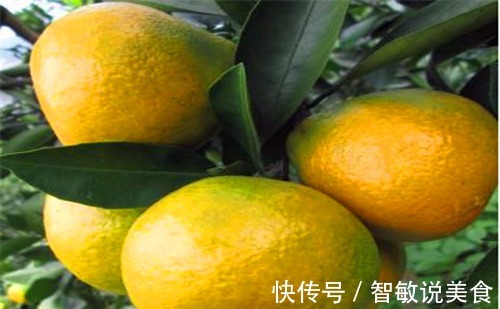 抗衰|女性养生,常吃3种食物,排毒刮油,美容抗衰,增强体质