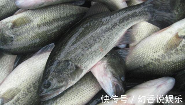 鲈鱼5种最好吃的做法，简单美味又下饭，看看你喜欢吃哪种