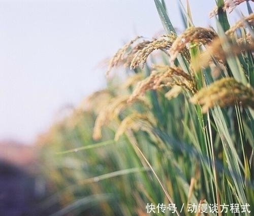 曾国藩|增广贤文五:想要规劝别人,说话要先有分量