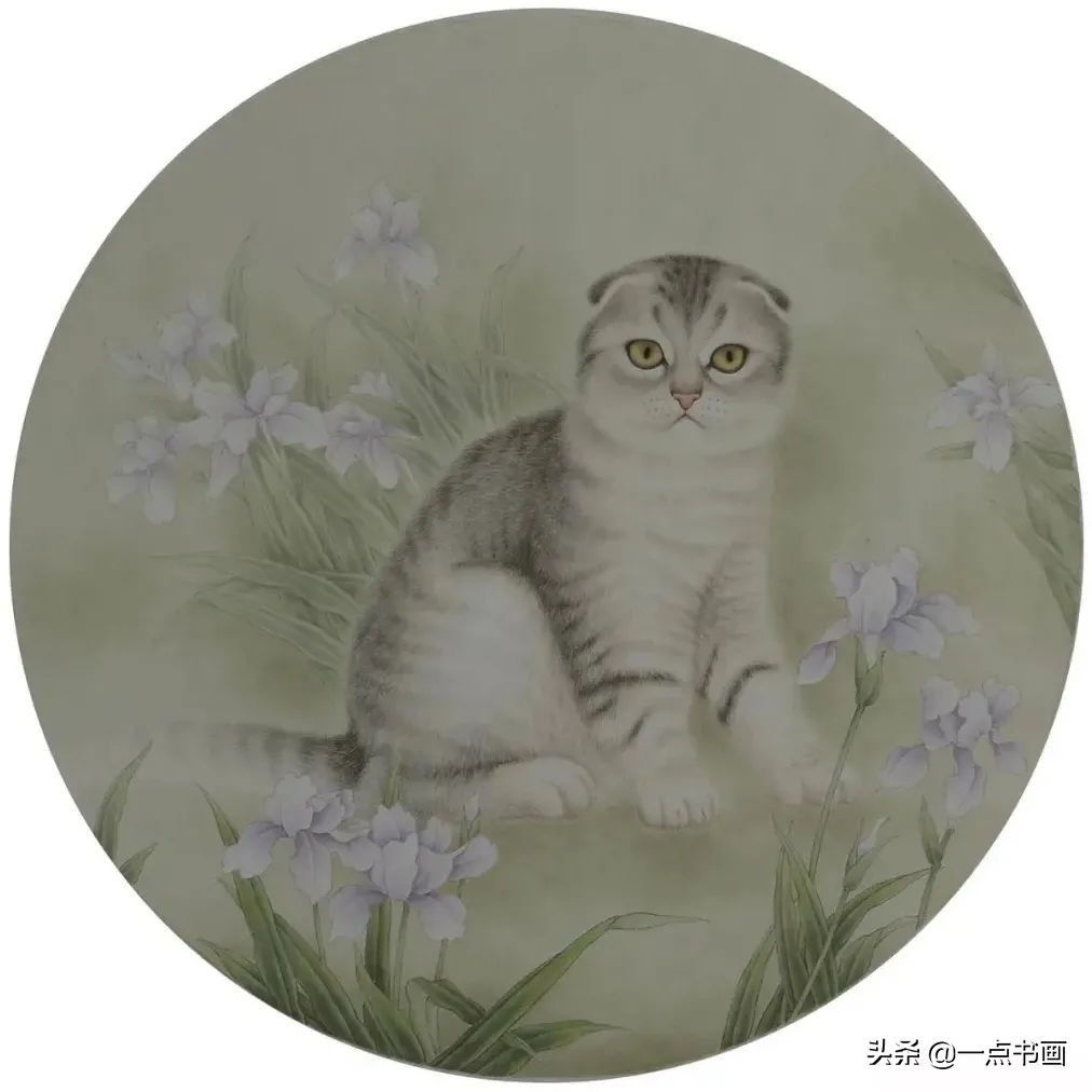 李保山$《折耳猫》工笔绘制步骤