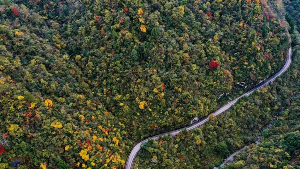 沿途|石柱这些高颜值公路建成，沿途藏着最美的山水景致！