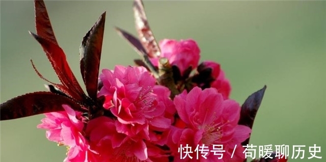 汉武帝!李商隐碧桃二首,遇见一个人,牵起前生今世