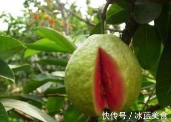 入秋后,每天食一个,胜过10个苹果,降压抗癌防衰老,老少都可