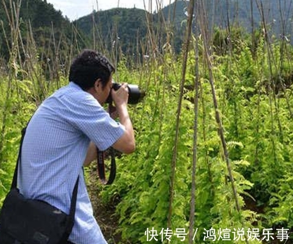 鸡骨草|农村这种“鸡骨草”,普通无奇被当作害草却好处多,竟是养生良药