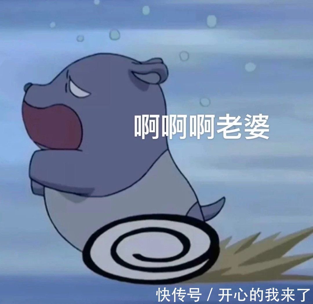 老婆奴|巴库老婆奴表情包第三弹