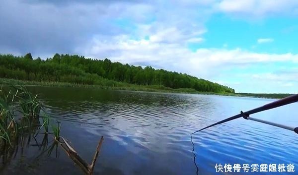 钓鱼|钓友鱼没钓到,钓了1只1米长1斤重的大虾,一起来欣赏一下吧