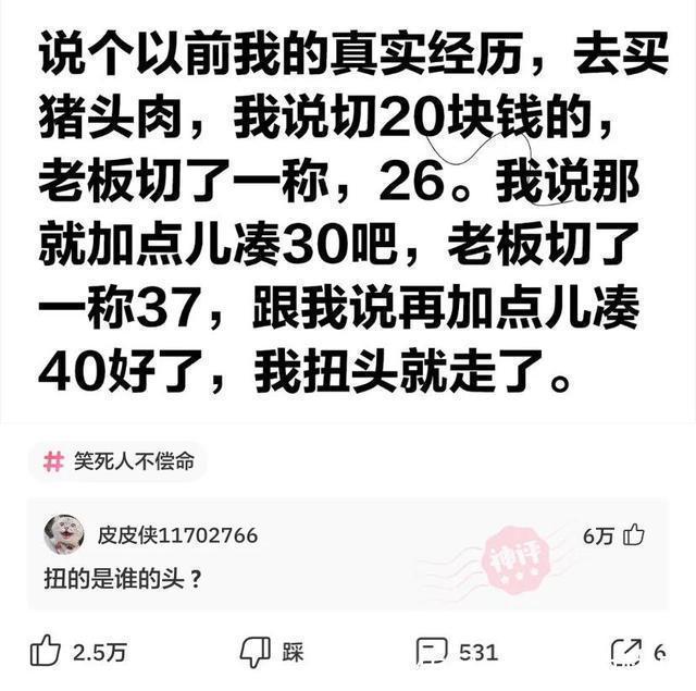 |神评段子合集：照片上有个熊猫就算了，居然还有个上发条的