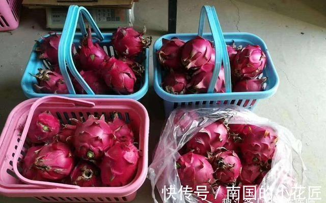 强身健体|人到中年想长寿,要坚持吃的食物,排毒消脂,增强体质,抗衰老