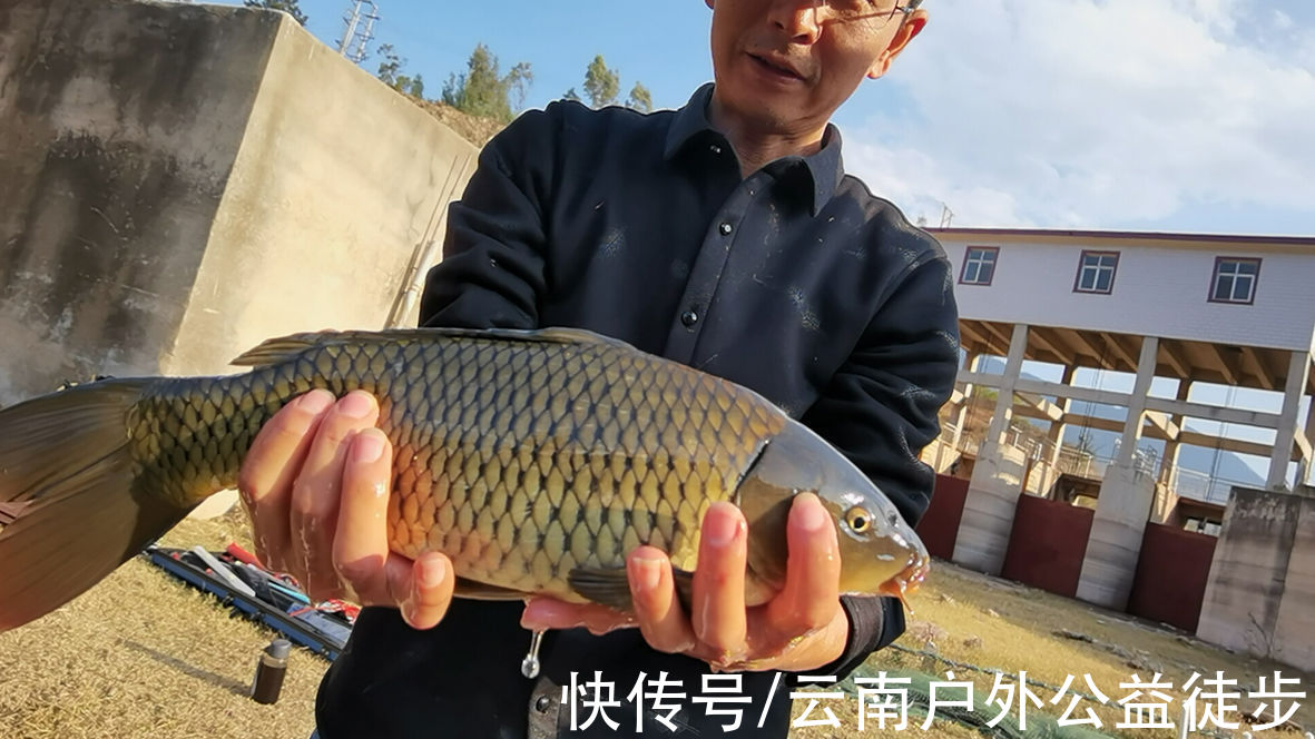 2022楚雄长田水库夜钓，整夜连杆鱼口好，3人24公斤鱼获钓开心了