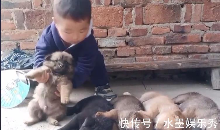 调皮|4岁萌娃哄狗宝宝睡觉,一口气哄睡5只,家长:轻松,家里安静多了