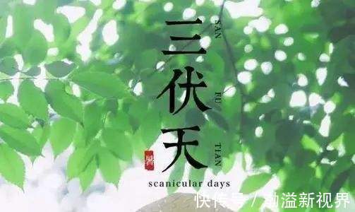 养胃|三伏天进入高温模式,饮食应该注意什么记好5点,健康养生度夏