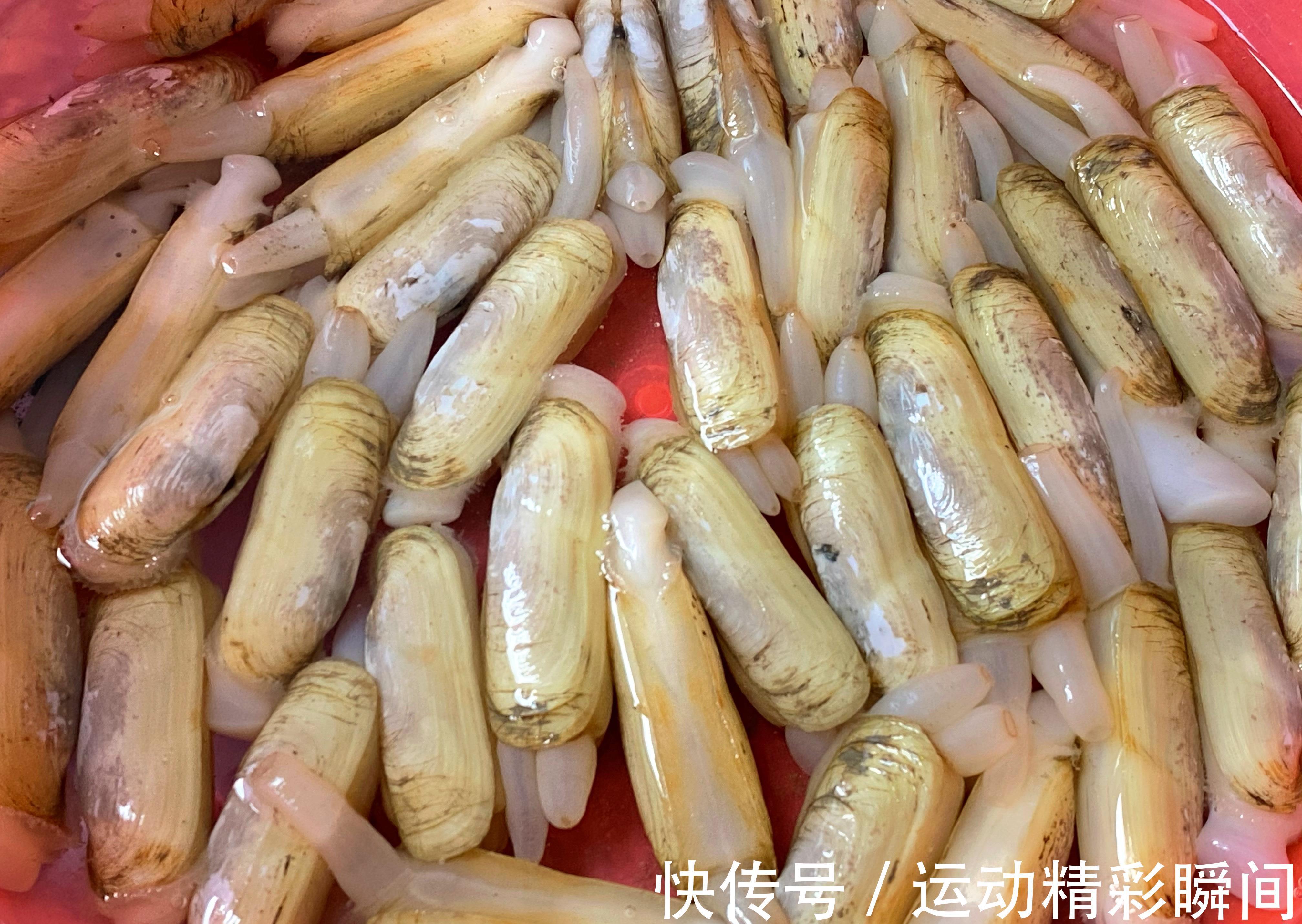蛏肉|夏天没食欲，给家人多吃海鲜，3种食材搭配，营养开胃又下饭