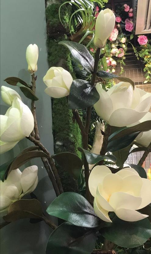 4种自带“体香”的花,花大色艳香气足,阳台养一盆,人人闻香气