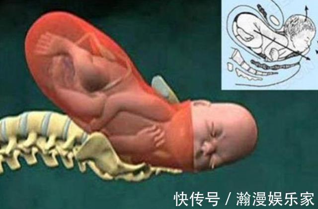 宝宝|顺产分娩时，宝宝咋从产道中爬出来的带你看清全过程，真心不易