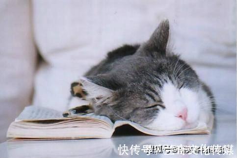 |内涵段子:我和媳妇谈恋爱,第一次在地里见了岳父岳母!