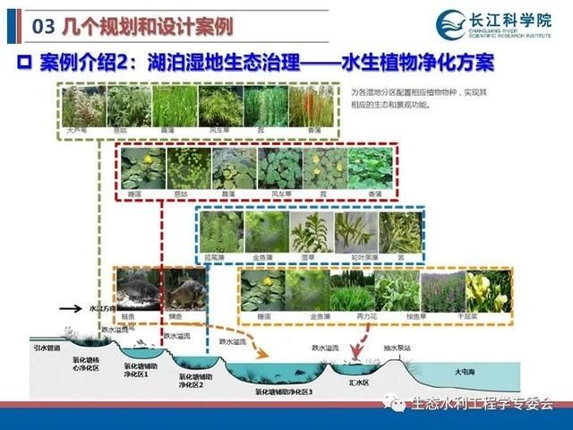 河流|「专家视角」许继军：河流生态修复理念、技术与实践