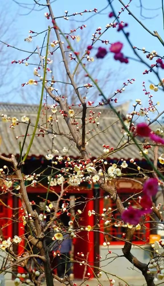 济南|错过今天，再等200年！济南这十大网红打卡地，太应景……