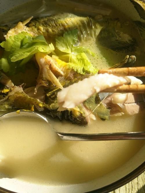 天然的“补脑汤”找到了，简单煮一煮，营养极高，孩子补钙又补脑