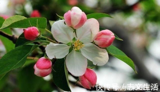 释义&真正厉害的人,为人处世,往往能做到这四点!