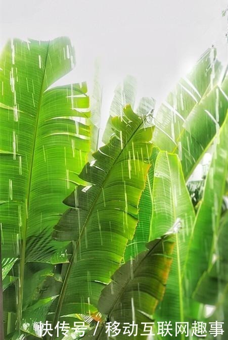 上联|贴在厕所的奇趣对联,只能意会不能言传,读个对联比上厕所还过瘾