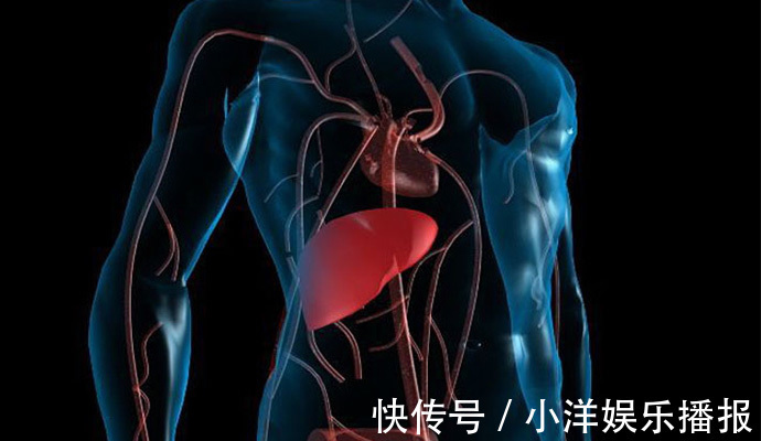 肝脏|肝若不好，枸杞泡它一起喝，坚持俩星期，也许慢慢“洗”净肝脏！