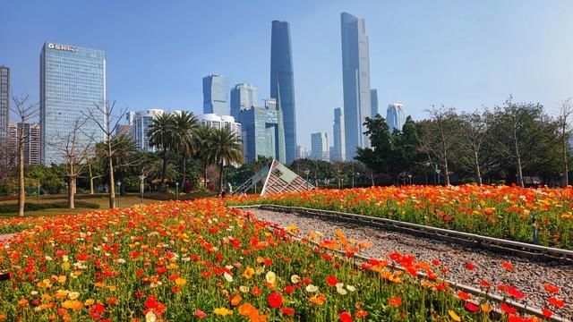 图集｜是春天了！一起听花开的声音