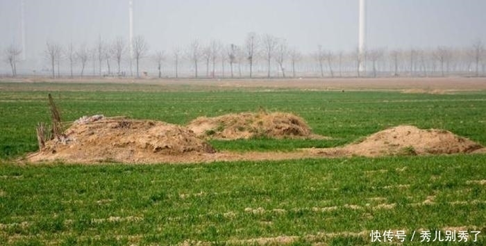 这个地方的农村，亲人过世后埋到自家田地里，有的坟墓砌在地面上