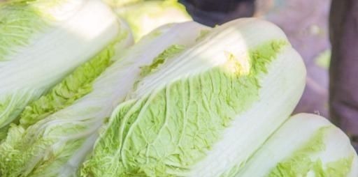 伤身|白菜和此物同食,不但没营养还伤身,很多不清楚,看完告诉身边人