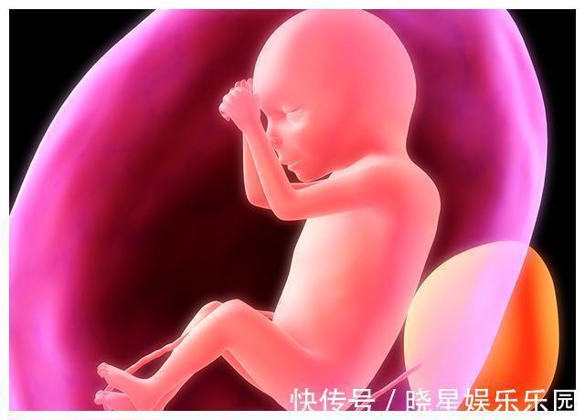 胎儿|胎儿最怕听到的3个声音，孕妈们要注意，别再“折磨”你的宝宝了