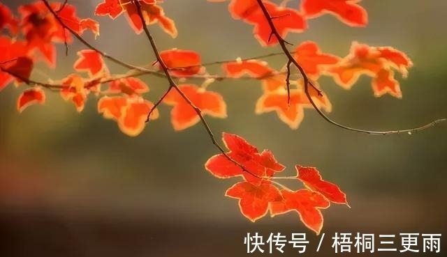 章雪芳|史耀华:秋声十八首