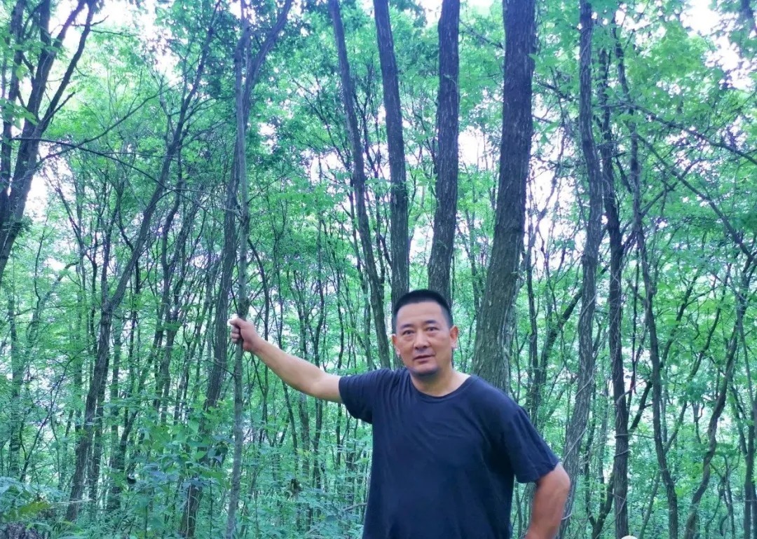 松树皮|比松树皮更好的兰花植料,生根快、发芽壮,更适合兰菌滋生