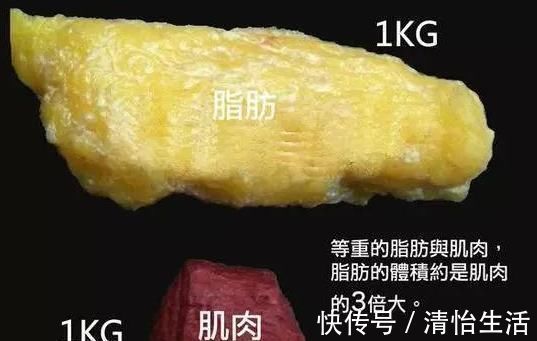 标准|最新体重标准表来了,也许你真的不胖,别再傻傻减肥了