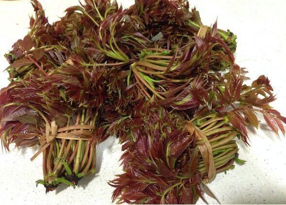 抗衰|女人不想皱纹脸上爬,常吃3种食物,排毒养颜,肌肤红润有光泽