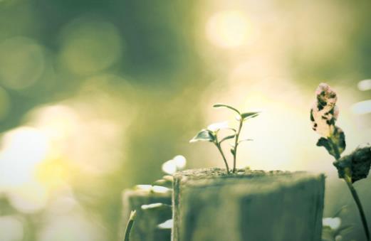 福报|一个人,越自律,福报越多