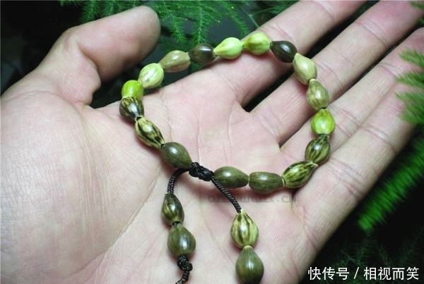 农村田野里随处可见的珠子,经常被拿来做手串,在城里却价值千金