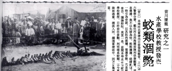 洞穴&营川坠龙事件、婆罗洲游龙事件,这些事件能证明龙的存在吗?