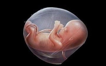 准爸爸|高智商的胎儿,孕期可能跟别人“不一样”看完孕妈偷着乐