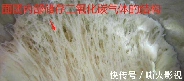 为什么我用了酵母粉发的面不软,问题出在哪里?