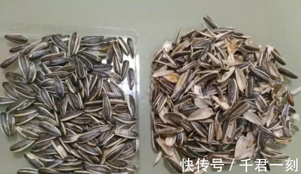 家庭|家庭养花,在盆底垫上这4种小东西,盆土透气又透水!