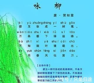 饮中八仙歌@贺知章见李白第一面就问 会喝酒吗 李白强忍着笑意说了7个字!