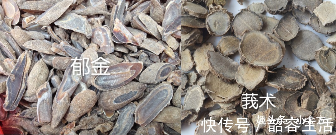 活血|中药材“郁金”打通血管里的瘀和堵,是金子总会发光!