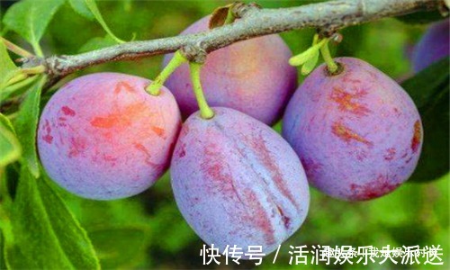 女发性|人到中年想长寿,不妨多吃4种食物,排出毒素,净化血液