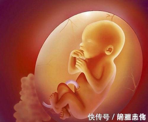 受精卵|首例试管婴儿已经32岁了!情况可能和你们想的不一样