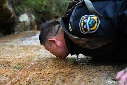 武夷山|武夷山国家公园里的巡山人