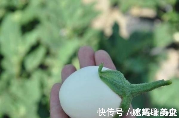 美容养颜|立秋后,不妨多食此菜,健胃消食,解毒,美容养颜,大肚子变平了