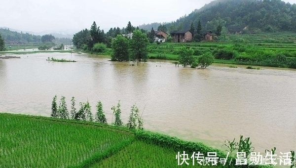 枯水期|夏季适合钓草鱼,钓点选择是前提,钓位这样选择,草鱼连竿上